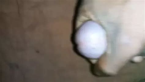 My Enjoy Your Sex For Musterbation Gay Mature Porn Feat Modernboy Xhamster