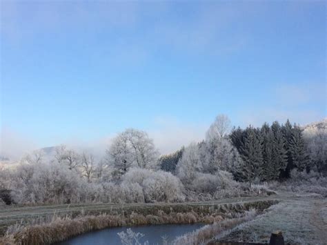 La Truite De La Petite Montagne