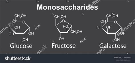 Chemical Illustration Monosaccharides Glucose Fructose Galactose Stock Vector Royalty Free