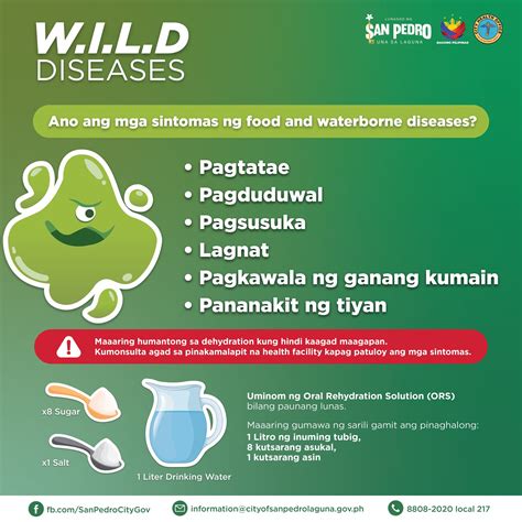 Route 5 San Pedro: Public Transit Schedule and Information 2