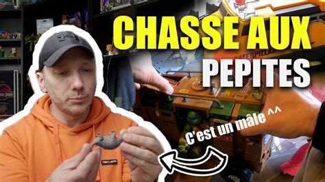 JE TROUVE UNE PEPITE EN VIDE GRENIER LIVE BOURSE AUX JOUETS YouTube