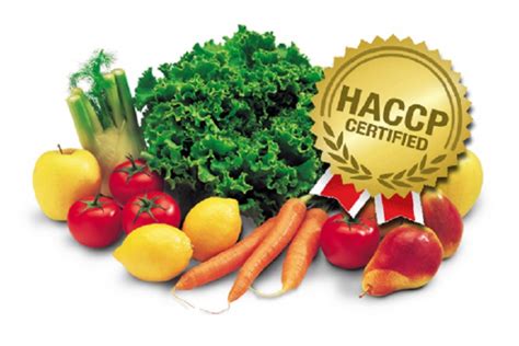 Haccp Aggiornamento H Per Titolari E Responsabili Attivit