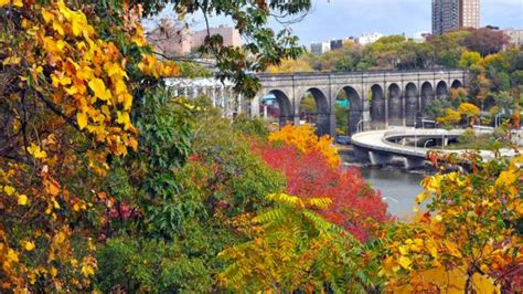 Where to See Fall Foliage in and Around New York | The Best Spots to ...