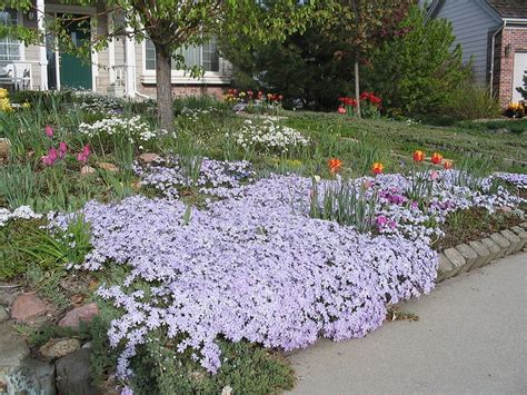 Front yard flowers | Flower garden plans, Small flower gardens, Front yard flowers