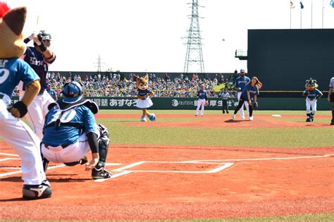 日ハム戦1万人沸く／釧路 全国郷土紙連合