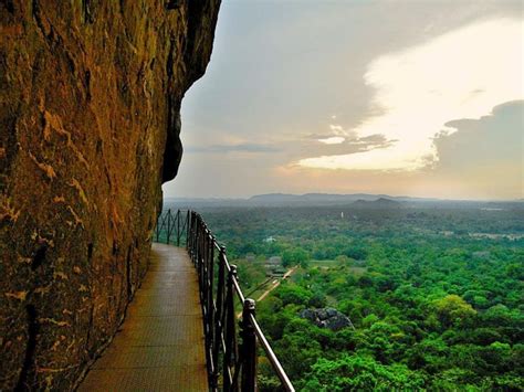 Desde Bentota Excursión de un día a Sigiriya y al Templo de Dambulla