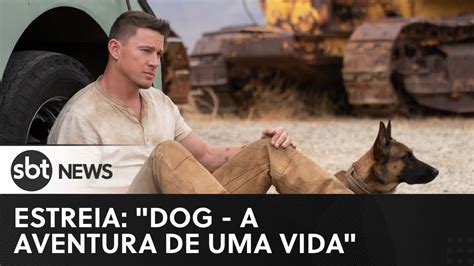 Dog A Aventura De Uma Vida Estreia Nesta 5ª Feira No Brasil Youtube