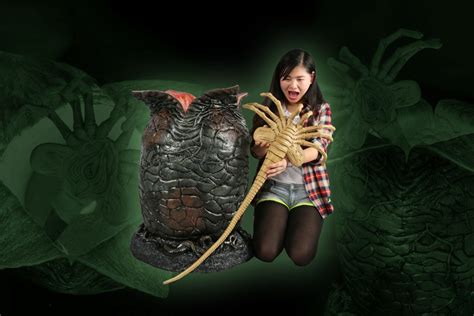 Life Size Xenomorph Facehugger Neca Foam Replica Aliens Alien Hot Sex