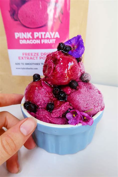 Pitaya Ice Cream Hybridherbs