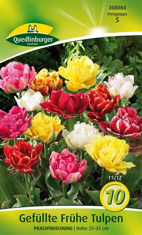 Gefüllte Frühe Tulpe Prachtmischung 10 Stück Blumenzwiebeln