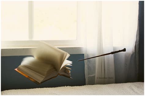 Wingardium Leviosa By Scooterthedog On Deviantart