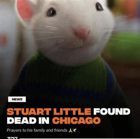 Stuart Little Fact ∞ The Suffering Is Finally Over R