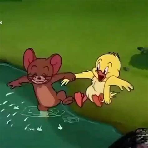 ВАШ ЛЕЧЕБНИК on Instagram: “Каждый из нас немного утёнок🤪🐥 А вы как ...