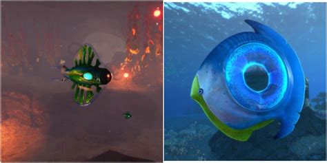 Subnautica Below Zero All Herbivore Creatures And Where To Find Them