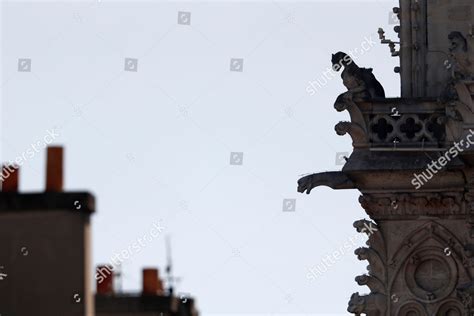 Preserved Gargoyles Notre Dame Cathedral Pictured Editorial Stock Photo ...