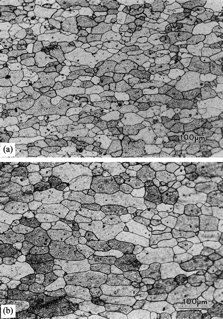 Optical Micrographs Showing The Grain Structures In The Al Alloy