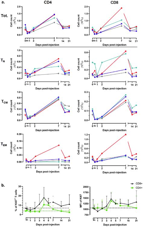 Mva Hil7 Fc Induces T Cell Proliferation And Increases Number Of