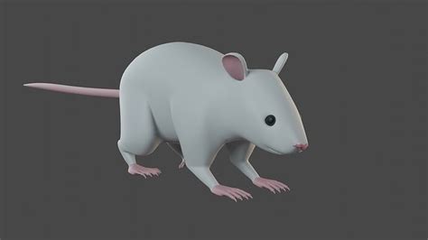 Rat 3d Model 3d Model Cgtrader