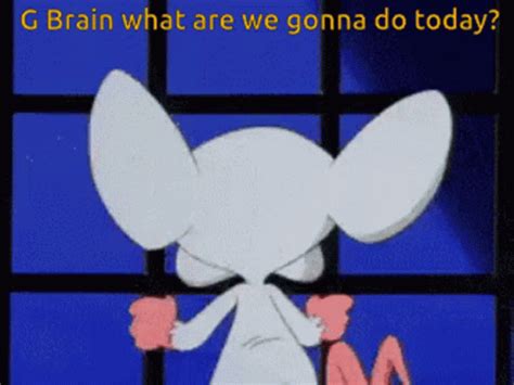 Pinky And The Brain Pinky And The Brain Discover Share GIFs