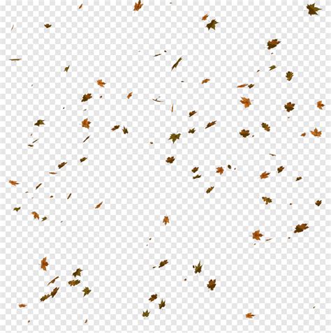 Warna Daun Musim Gugur Berserakan Maple Leaf Png Pngegg