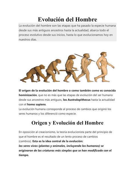 Evoluci N Del Hombre