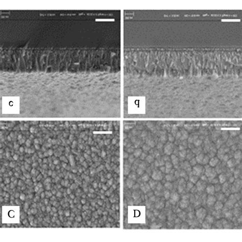 AFM images of surface morphologies of 13 nm thick titania annealed at ...