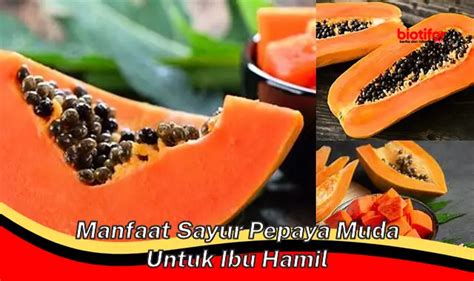 Temukan Manfaat Sayur Pepaya Muda Untuk Ibu Hamil Jarang Diketahui