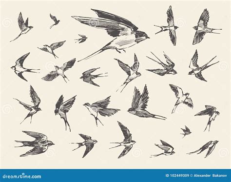 Flock Birds Flying Swallows Drawn Vector Sketch Stock Vector