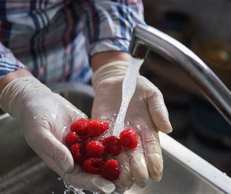 Risques Biologiques Dans Les Aliments Wikifarmer