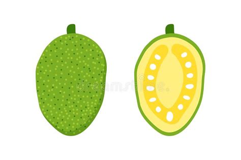 Jackfruit Whole And Cut In Half Cute Cartoon Style Vector Illustration