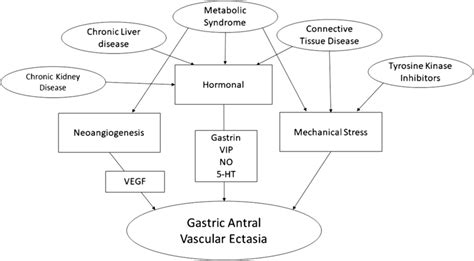 Proposed etiologies of gastric antral vascular ectasia | Download Scientific Diagram