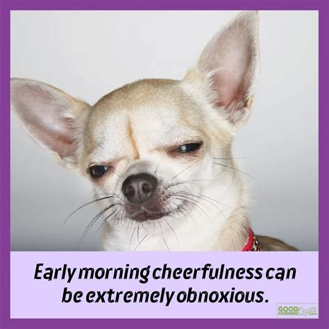 64 Funny Good Morning Quotes (with Pictures)