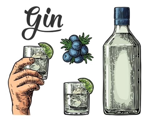 Different Types Of Gin Explained