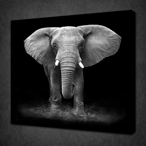 Framed Black White Elephant Animals Design Canvas Print Wall Art Decor ...