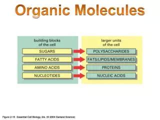 PPT Biochemistry Major Organic Molecules PowerPoint Presentation