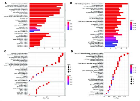 Go And Kegg Functional Annotation Pathway Enrichments The Barplot