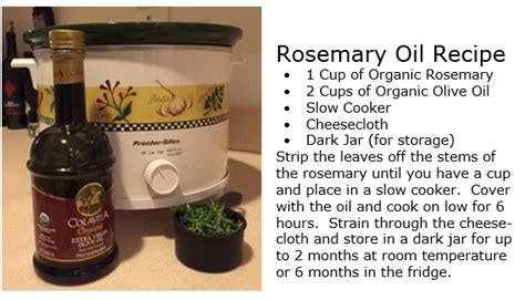 rosemary-oil-recipe - Anti-Age Naturally!