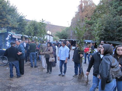 Festa Da Castanha Na Aldeia Das Dez O Renascimento De Um Povo