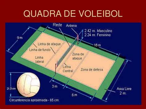 Quais São As Posições Do Voleibol LIBRAIN