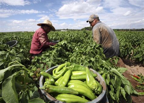 México Advierten De Próxima Crisis Alimentaria A Causa De La