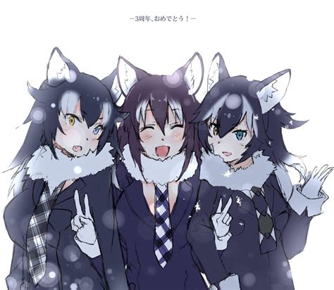 Kemono Friends Grey Wolf Anime Wolf Girl Cute Neko Girl Cute Anime