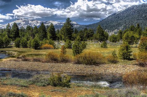 Hope Valley Wildlife Area Photograph by SC Heffner - Fine Art America