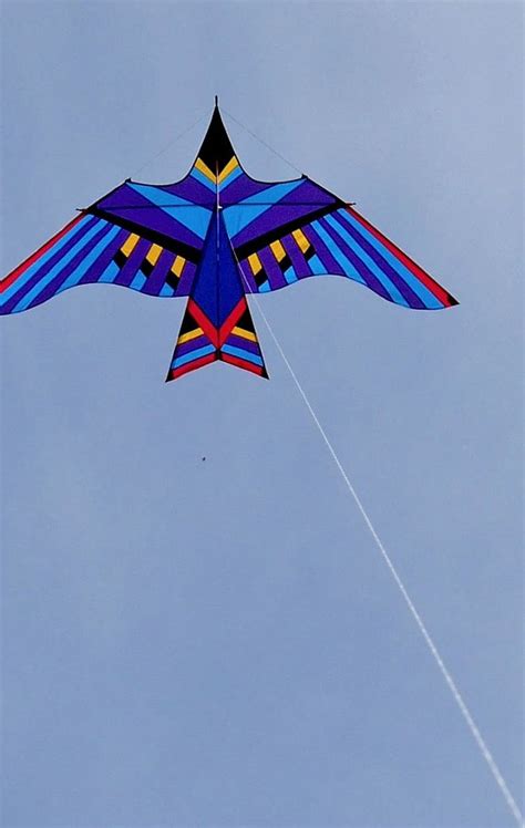 A Maui Cloud Bird Kite Designed By George Peters Kite Designs Bird