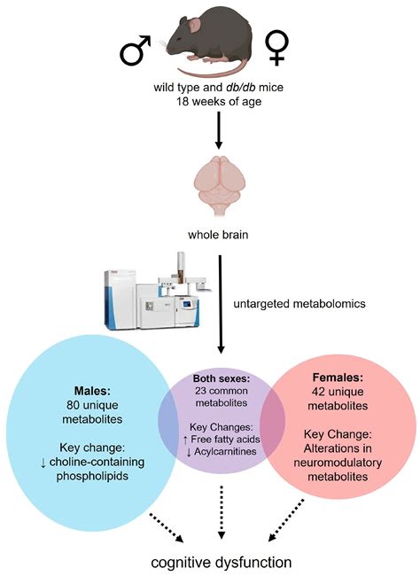 Metabolites Free Full Text Sex Modifies The Impact Of Type 2