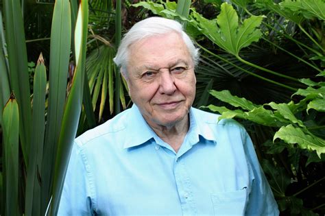 David Attenborough Reveals His One And Only Career Regret – Sick Chirpse