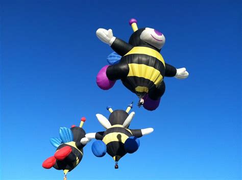 Bees Anyone Hot Air Balloon Festival 2012 Hot Air Balloon Festival