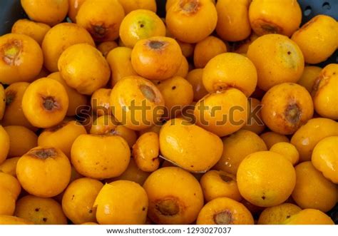 Butia Capitata Fruit Genus Palms Family Stock Photo 1293027037 | Shutterstock