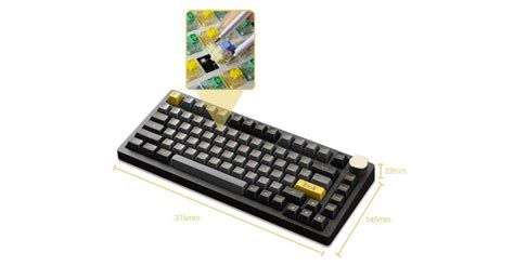 Buy Akko PC75B Plus Black Gold Wireless RGB Hot Swap Crystal 6925758620901 PC Case Gear