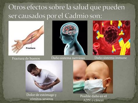 Cadmio Como Contaminante PPT