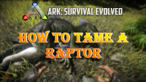 HOW TO TAME A RAPTOR IN ARK YouTube